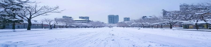 冬日校园雪景，操场跑道被白雪覆盖，远处教学楼屋顶积雪，学生在雪地上踩出脚印，安静纯净