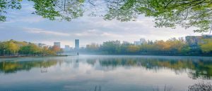 北京大学校园春色投稿，未名湖畔春日晨雾，博雅塔倒影在湖面，宁静而诗意