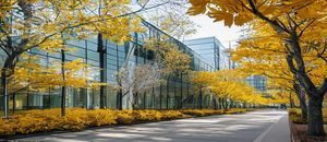 同济大学校园春色投稿，建筑系馆外秋日银杏，金黄叶片与现代建筑形成强烈视觉对比